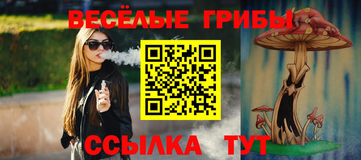Псилоцибиновые грибы GOLDEN TEACHER Мурино