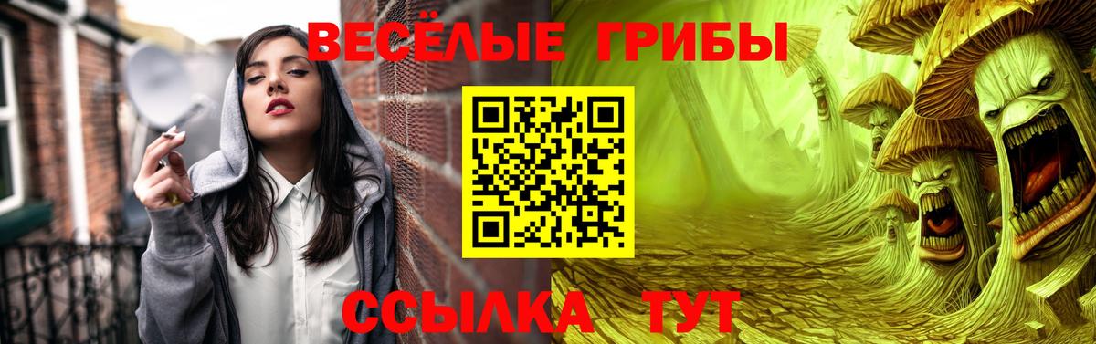 Мурино  Псилоцибиновые грибы Magic Shrooms  Вход с VPN  Галлюциногенные грибы ЛСД 